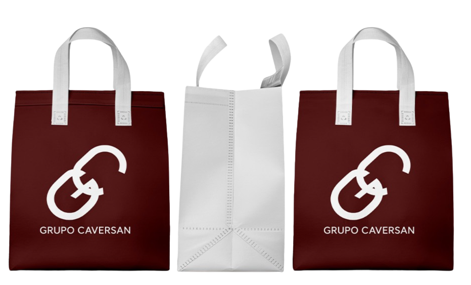 grupo caversan